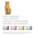 Schesir Veterinary Solutions-Urinary-Can For Cat-Wholefood Fillets-Chicken 8x80g