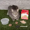 Bioline Catgrass Kit 12g[Weight - 12g, Dimension - 5.4 x 13.4 x 12.2cm]