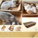 Bioline Disposable Cat Litter Basin 40x30x10cm