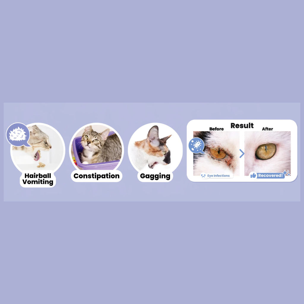 Altimate Pet Supplement for Cats & Dogs – Kidney Liver Support 150g