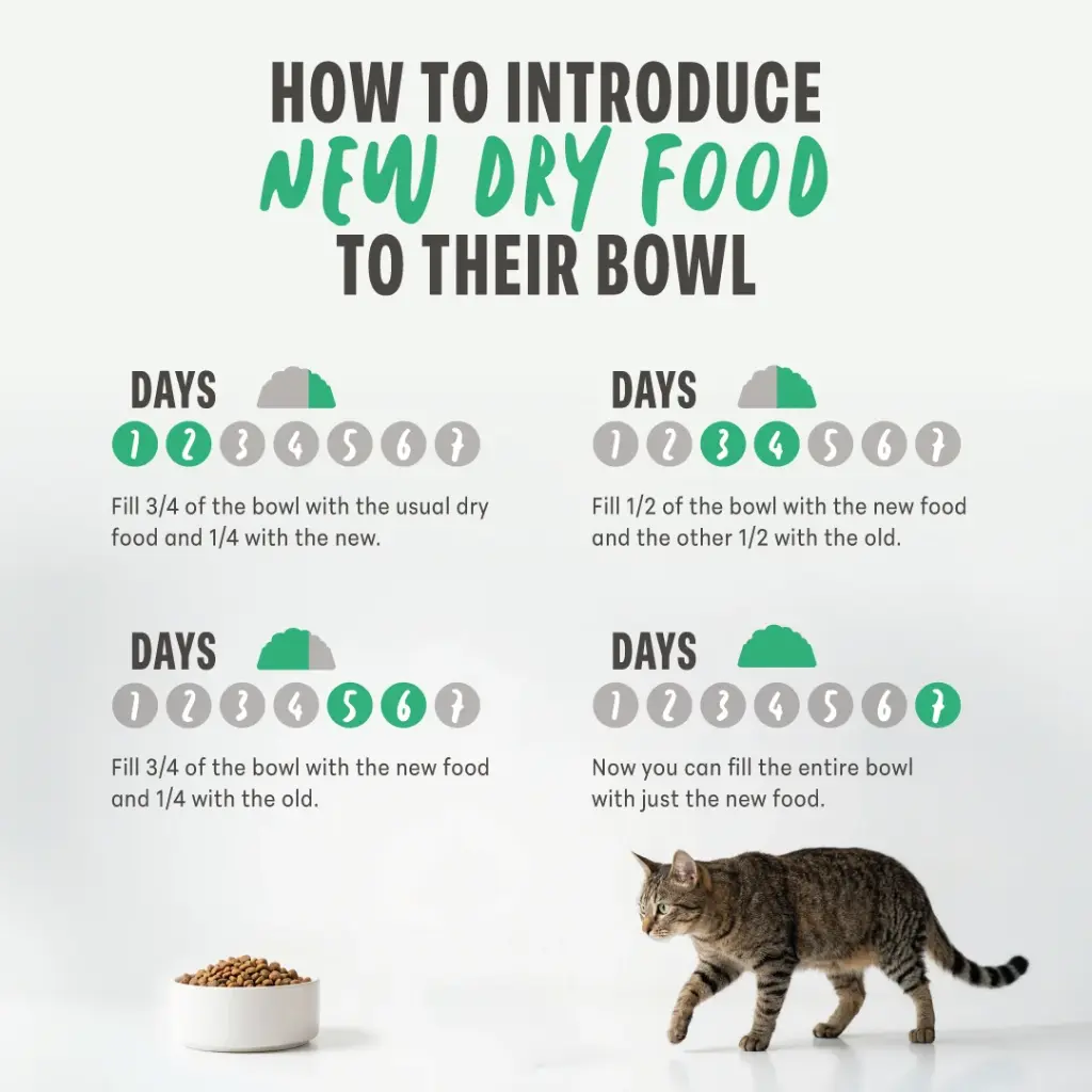Schesir Monoprotein Adult Dry Cat Food –Sterilized-Fresh Chicken-10kg