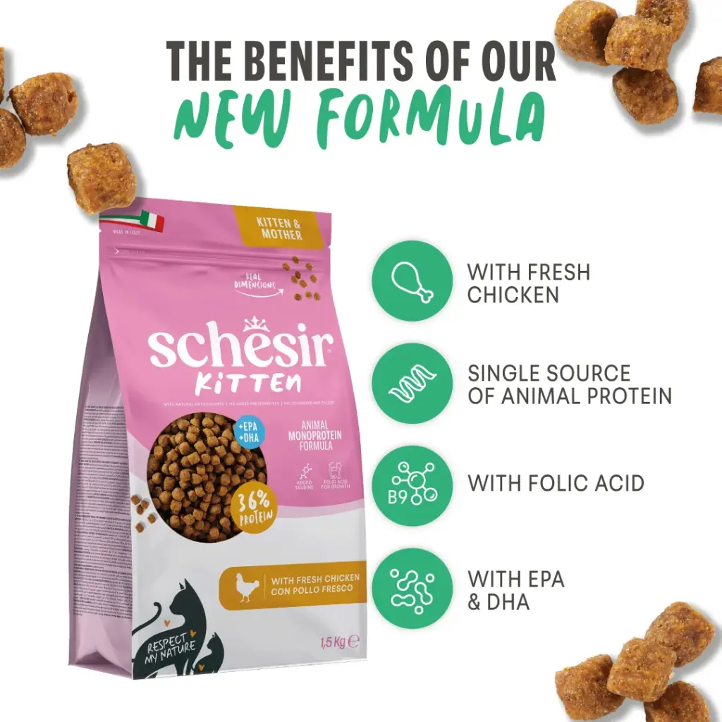 Schesir Monoprotein Kitten & Mother Dry Cat Food – Fresh Chicken-1.5kg
