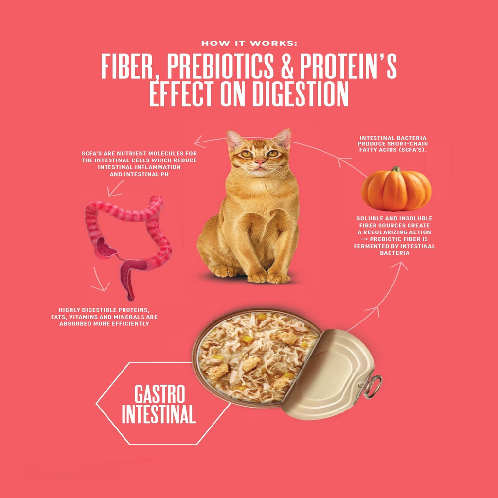 Schesir Veterinary Solutions-Weight Control-Can For Cat-Wholefood Variety Pack 3x80g