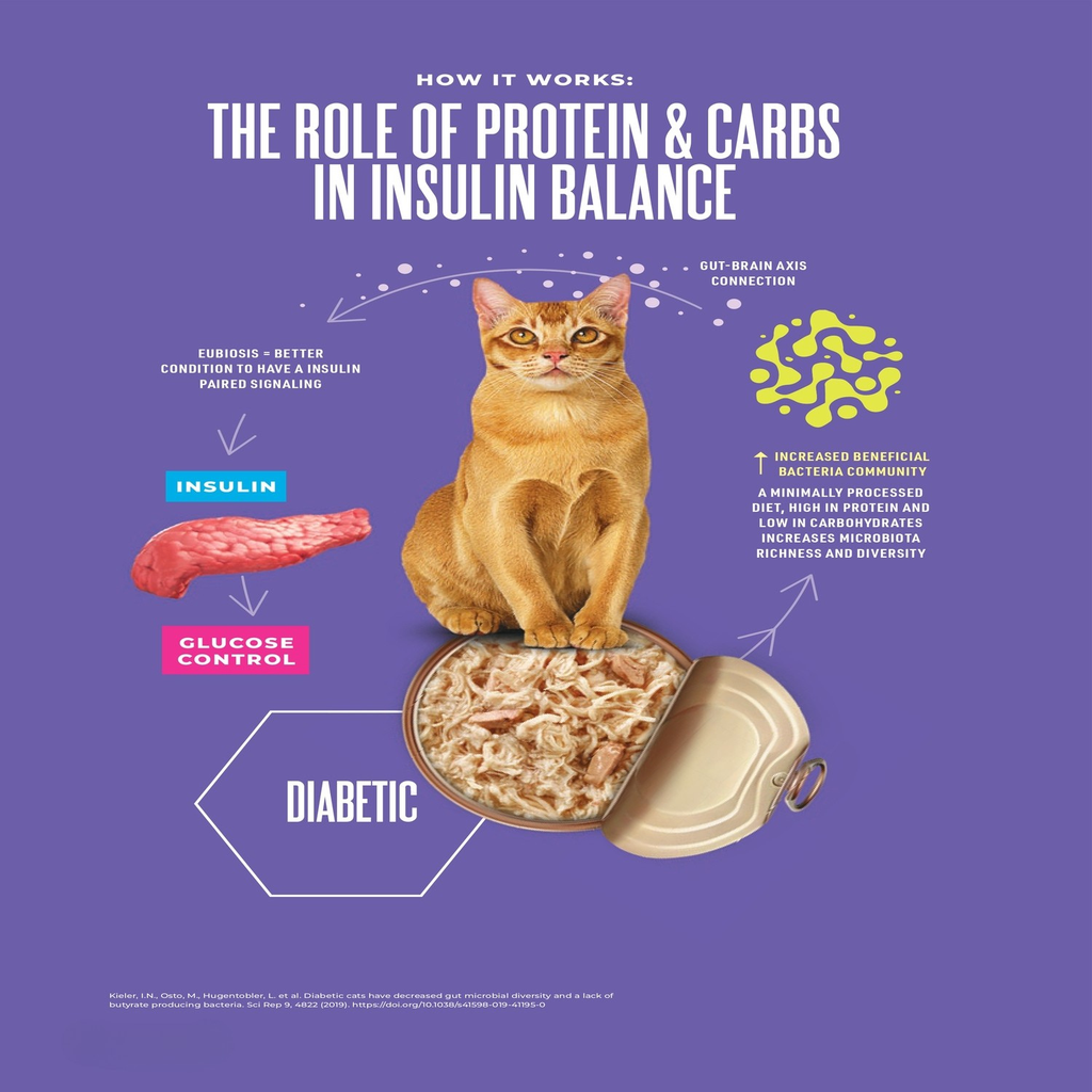 Schesir Veterinary Solutions-Diabetic-Can For Cat-Wholefood Variety Pack 3x80g