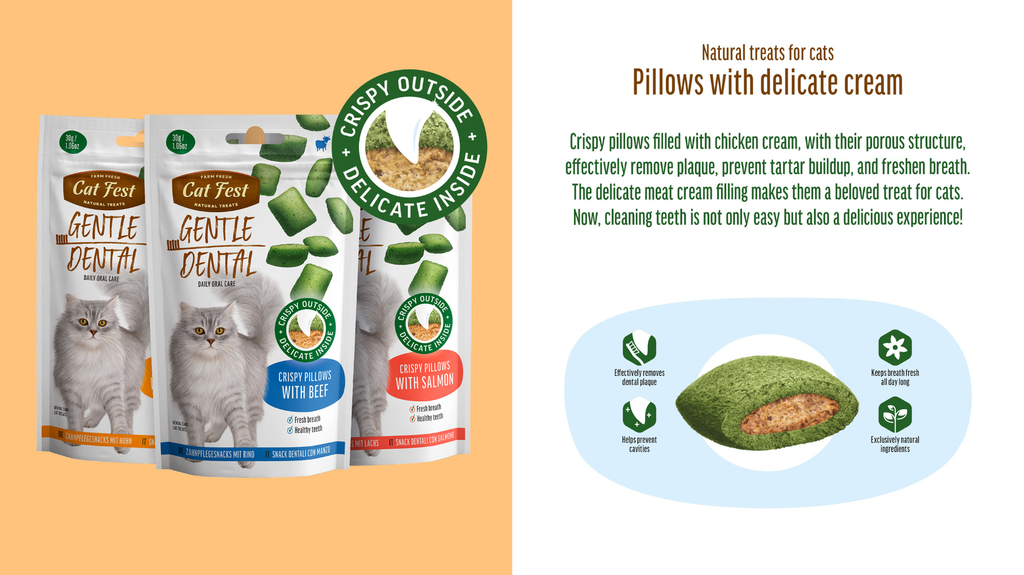 Cat Fest Dental Treats For Cats -Crispy Pillows -Beef 30g