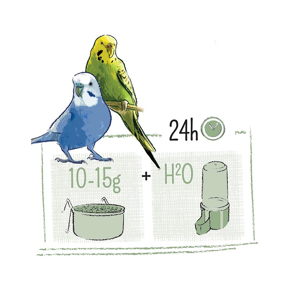 Witte Molen Puur Budgie[Weight - 2Kg]