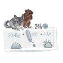 Witte Molen Puur Chinchilla & Degu 2kg[Weight - 2kg]