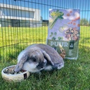 Witte Molen Puur Rabbit 600g[Weight - 600g]