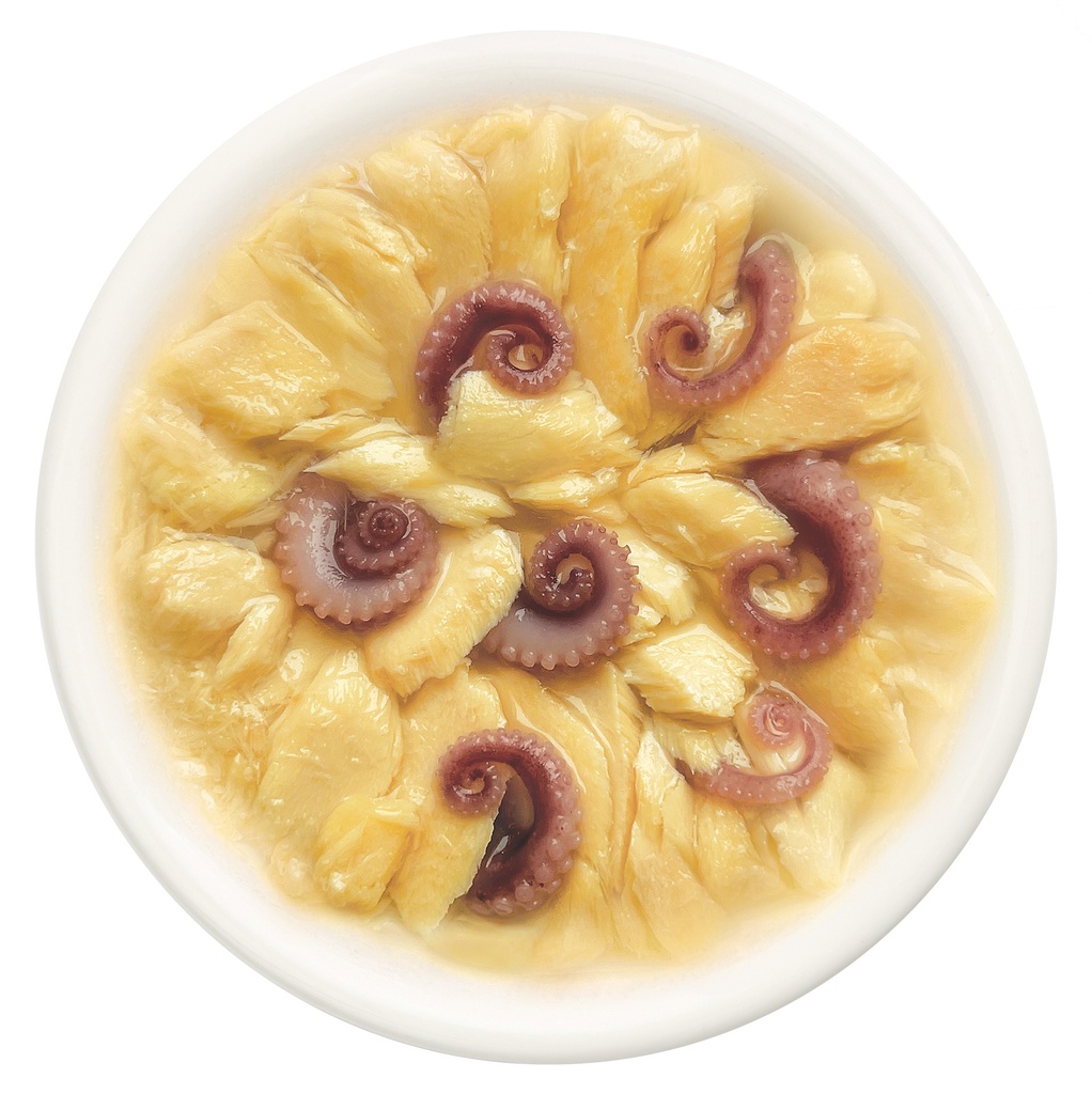 Cat Fest Salmon With Octopus In Tender Jelly For Cats 70g [MOQ:12pcs]