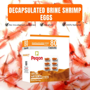 Horizone Peqon Decap Artemia Cyst – Ready-to-Feed Decapsulated Brine Shrimp Eggs (80 Capsules) – No Hatching Needed