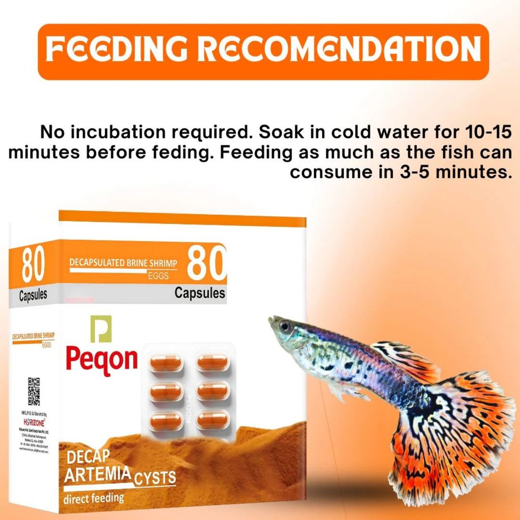 Horizone Peqon Decap Artemia Cyst – Ready-to-Feed Decapsulated Brine Shrimp Eggs (80 Capsules) – No Hatching Needed