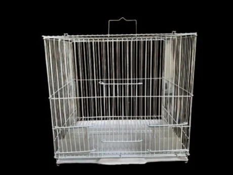 Petbroo Chipro Bird Cage