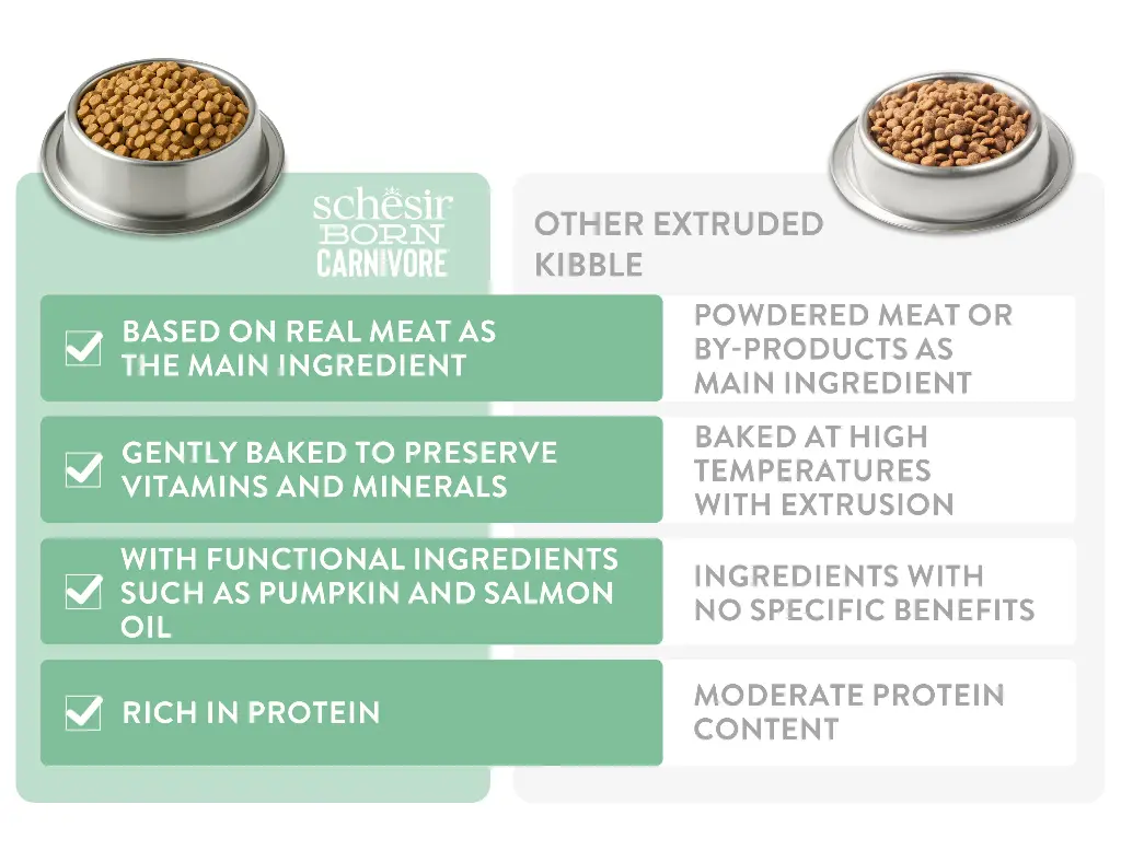 Schesir Born Carnivore Grain Free Oven Baked Dry Food [High-Protein] For Kitten - Chicken & Egg  255g