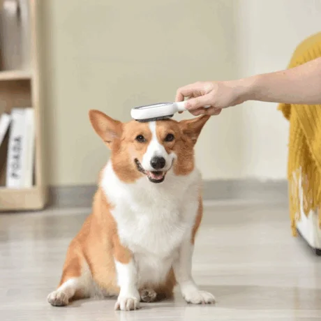 Petbroo Tidy Hair Removing Comb