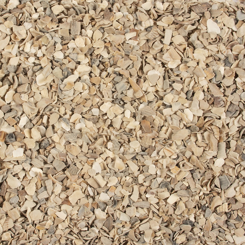 Witte Molen Plus Oyster Grit 4kg