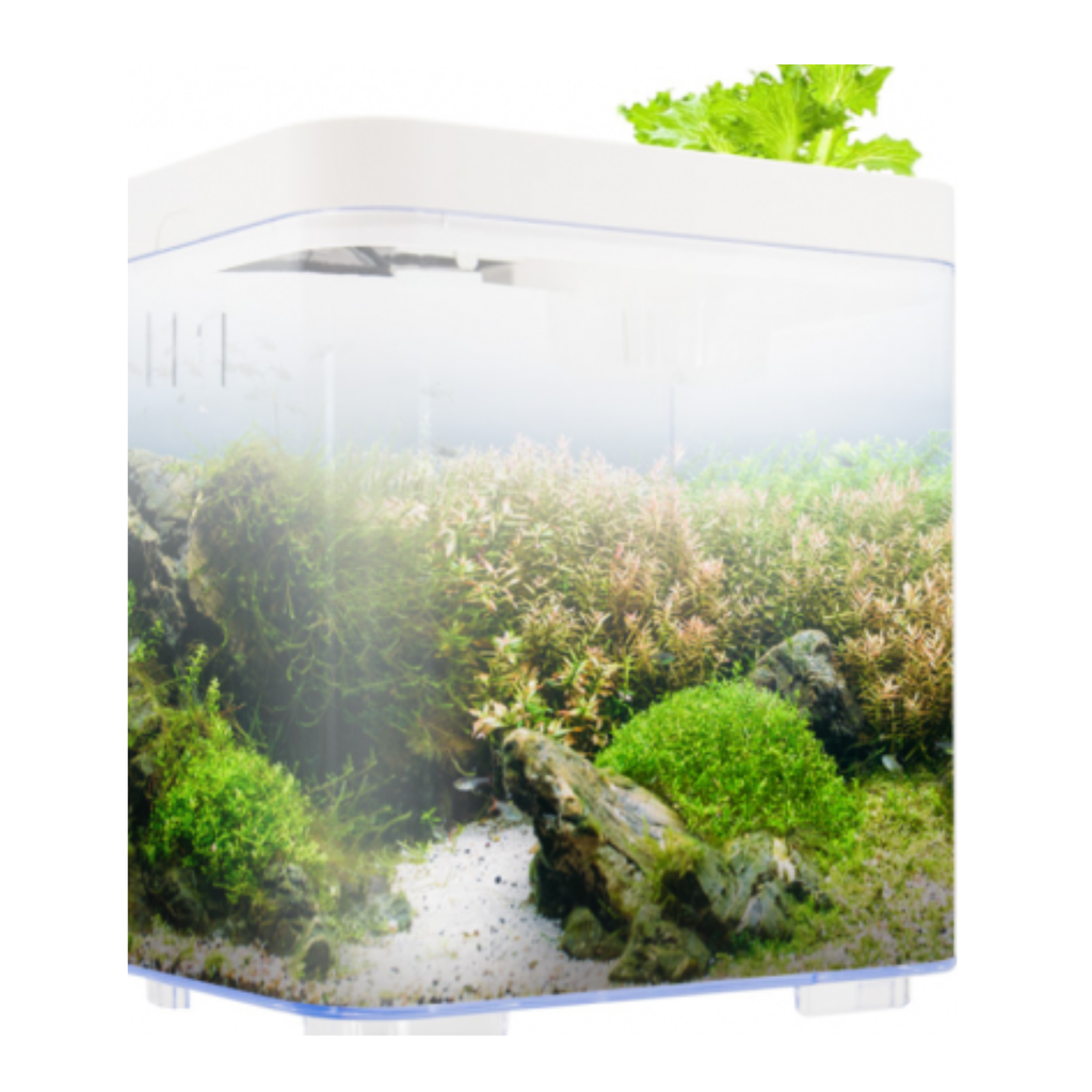 KW Zone Dophin 7L Mini Betta Tank Kit without Temperature Display