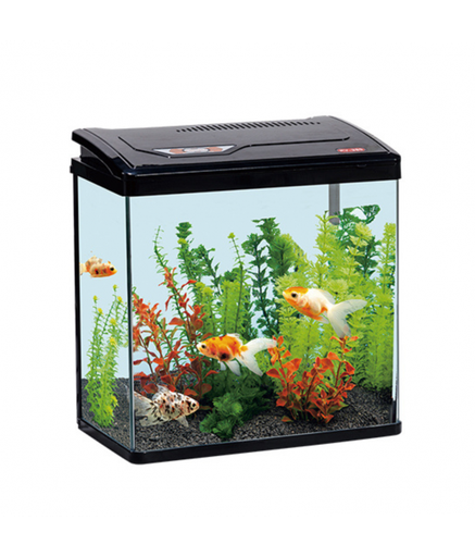 Karis PY-Series Aquarium 235 x 160 x 280mm[Color - Black]