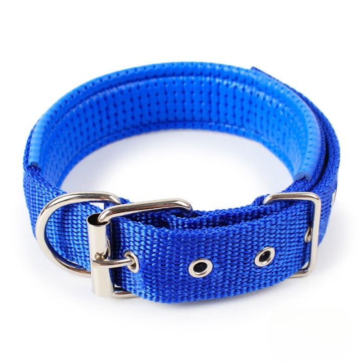 Petbroo Padded Dog Collar 2.5cm