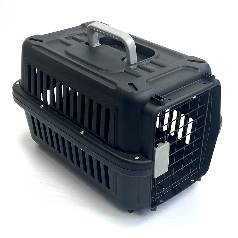 Petbroo Pet Carrier With Mat 48*31*31cm