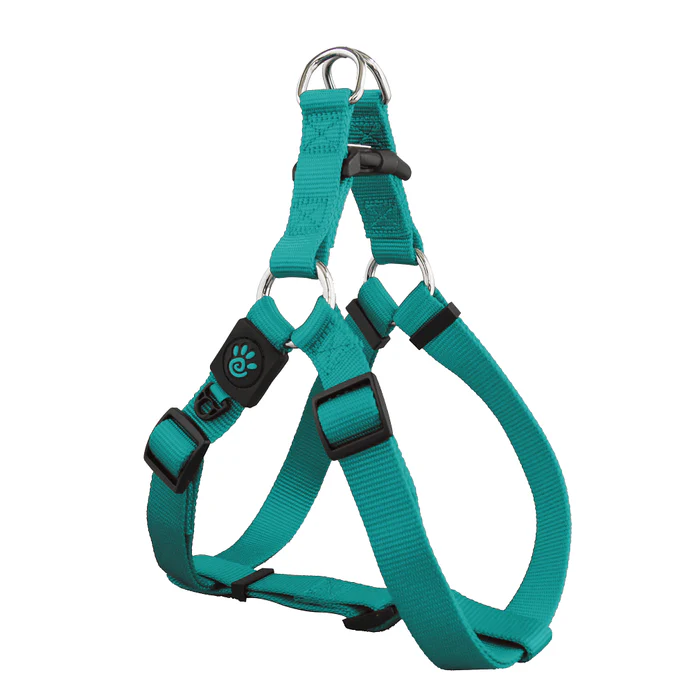 DOCO® Signature Step-In Harness-2.0 x 53-77cm(M)-Turquoise