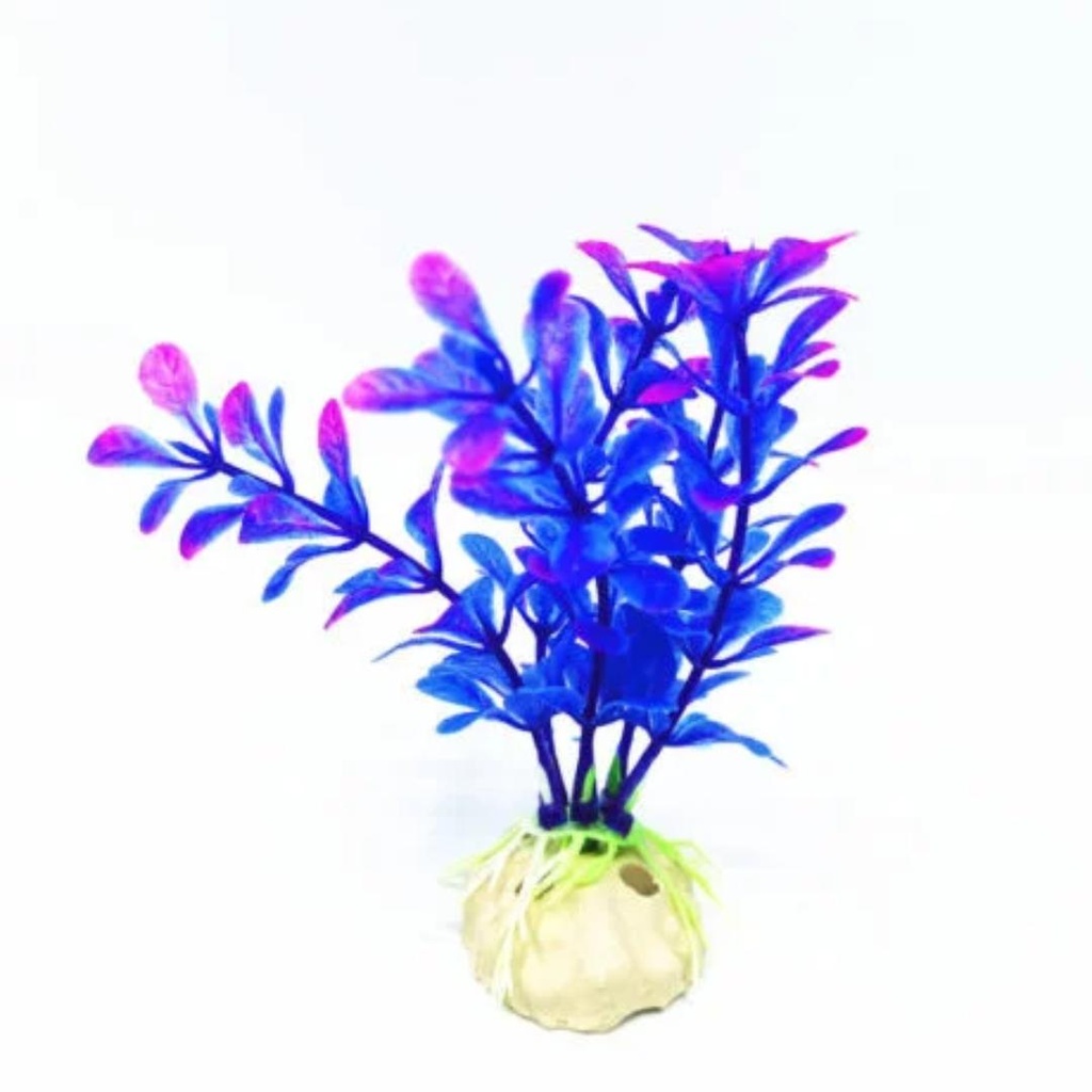 Aquabroo Poppy Plastic Plant