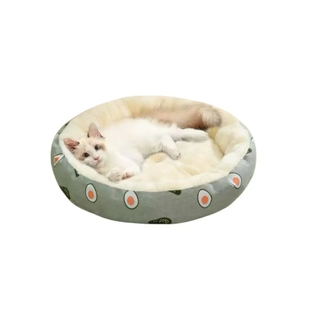 Petbroo Avacado Cushion 50*50*15cm