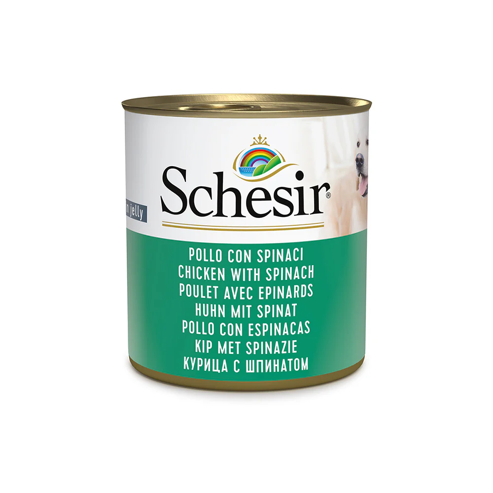 Schesir Dog Wet Food in Jelly Can-Chicken With Spinach 285g [MOQ:16pcs]
