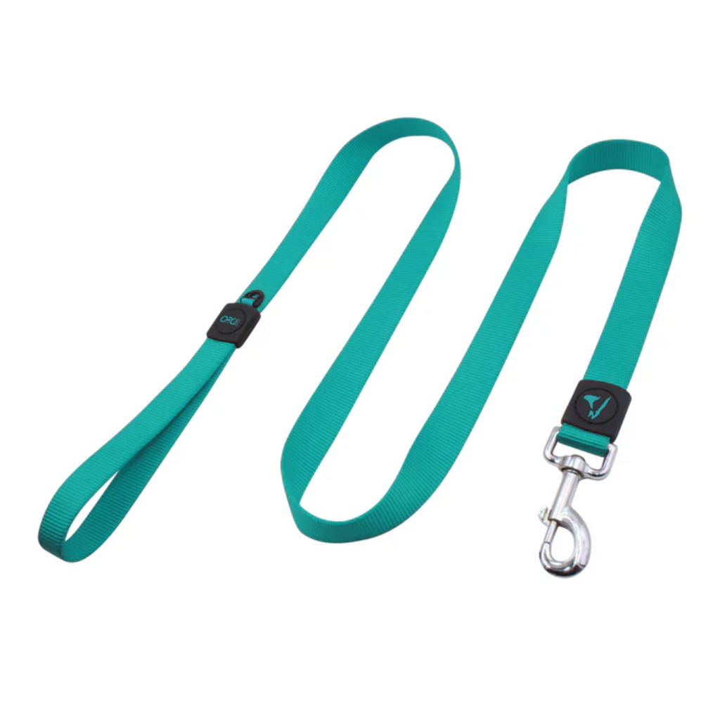 DOCO® Signature Nylon Leash - 6ft-2.5 x 180cm (L)-Turquoise