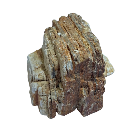 Karis Red Melalecua Rock Large (Per Kg)