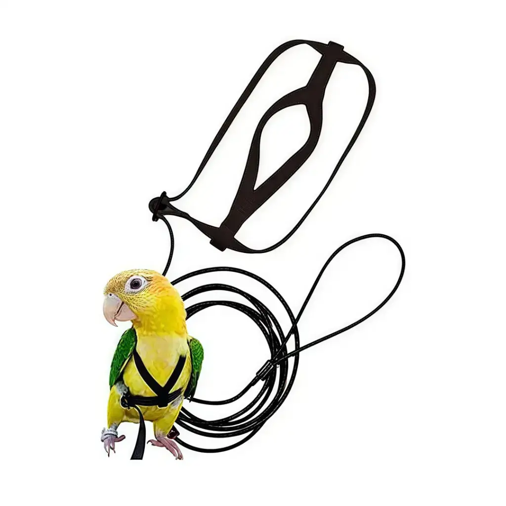 Petbroo Bird Flying Rope