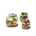 Aquabroo Zenwood Glass Aquarium Bowl 13*13cm