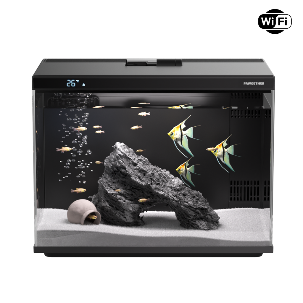 Pawgether Cooke 1s Smart Aquarium With Feeder CK 1S [Wifi Version]-45.4x26.3x35.3cm [30Litre]