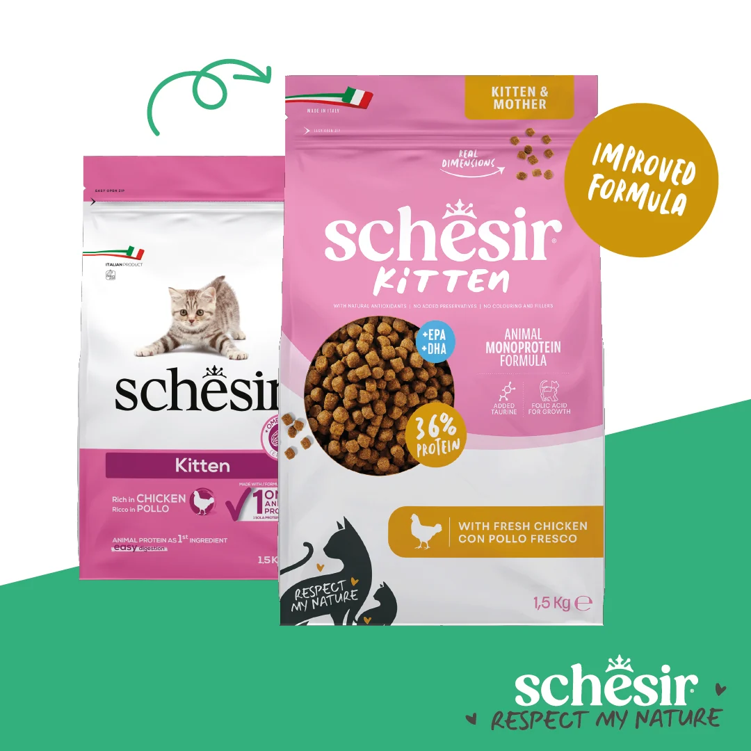 Schesir Monoprotein Kitten & Mother Dry Cat Food – Fresh Chicken-1.5kg