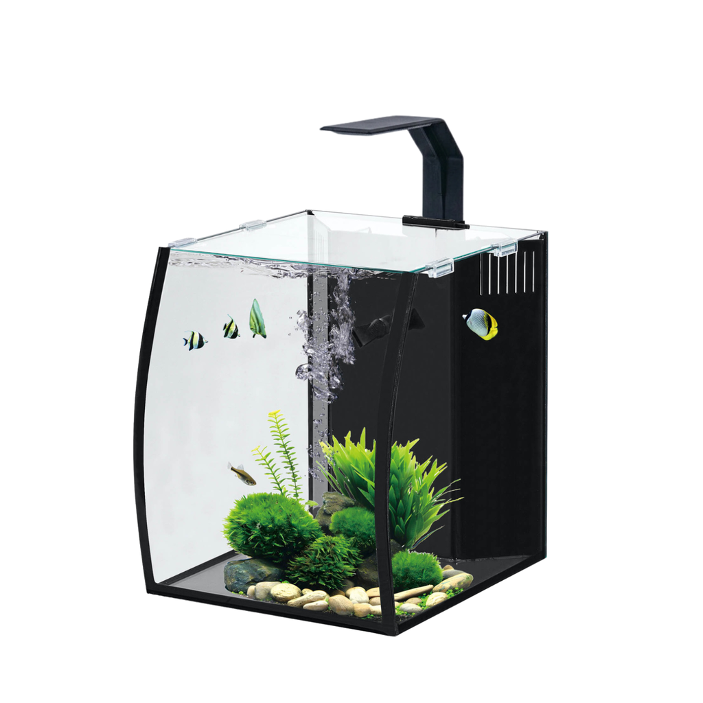 Karis Curvy Aquarium BL-05 - [25x28x30cm]-21 Litres