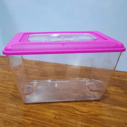 [CS-P5] Chicos Plastic Tank (P5), 38.5x24.5x24cm