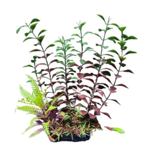 [AQ85540] Aquabroo Plastic Plant 20cm