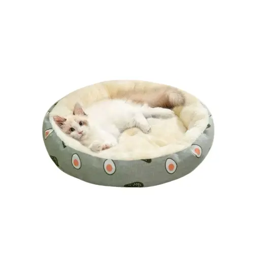 [PB14041] Petbroo Avacado Cushion 50*50*15cm