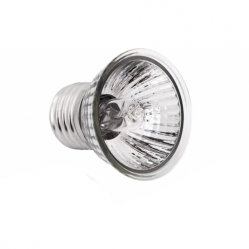 [BULB-GX-F01-25W] Roxin GX-F01 Tortoise Light Bulb 25W[Power - 25W] (New)