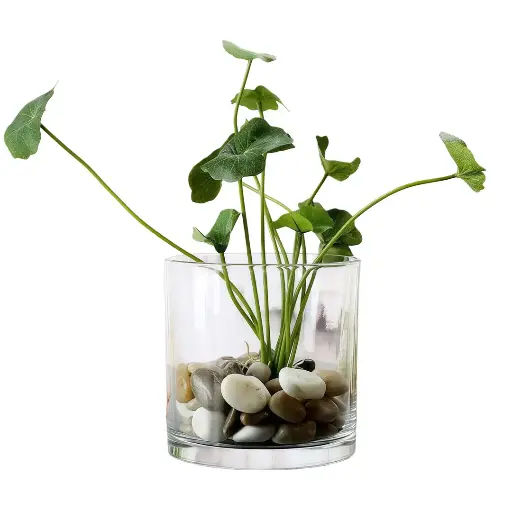 [AQ-83450] Aquabroo Botaniaqua Glass Bowl 15*15cm