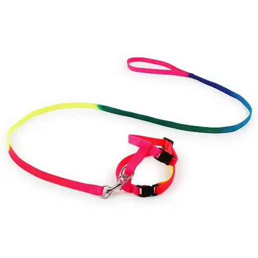 [PB13491] Petbroo Cat Rainbow Leash+Harness S (6 kg) 1.0 x 120 cm