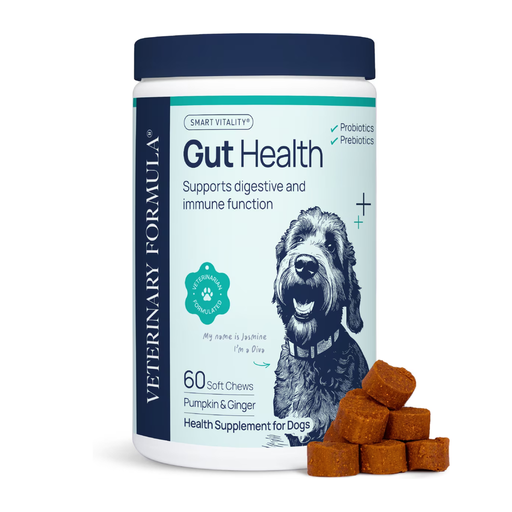 [FG01850] Synergy Labs Veterinary Formula Gut Health Formulated Probiotic Chews Supplement for Dogs – 225g [Count - 60]