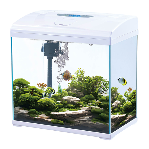 [KR-WH-PD-395] Karis Super White Glass Aquarium PD-395 - [38x23x38.5cm, Color - White]