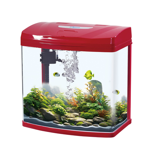 [KR-RD-BL-310A] Karis Glass Aquarium BL-310A - [30x21x30.5cm, Color - Maroon]